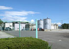 共同
